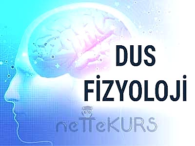 DUS Fizyoloji Dersleri