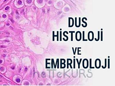 DUS Histoloji ve Embriyoloji Dersleri