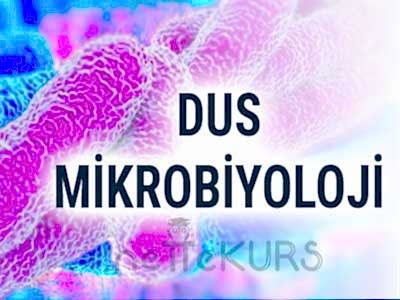 DUS Tıbbi Mikrobiyoloji Dersleri