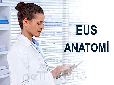 EUS Online Anatomi Dersleri