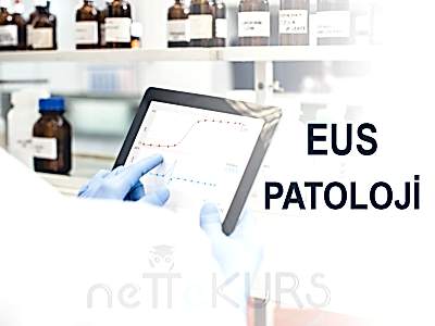 EUS Online Patoloji Dersleri