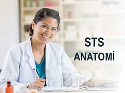 STS Eczacılık Online Anatomi Dersleri