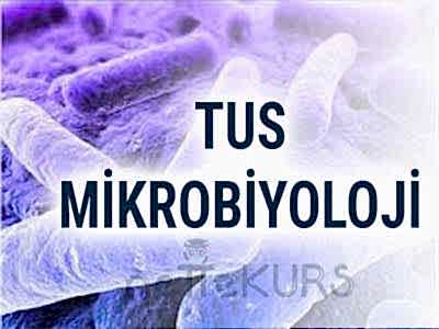 TUS Mikrobiyoloji Dersleri