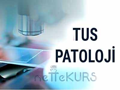 TUS Patoloji Dersleri